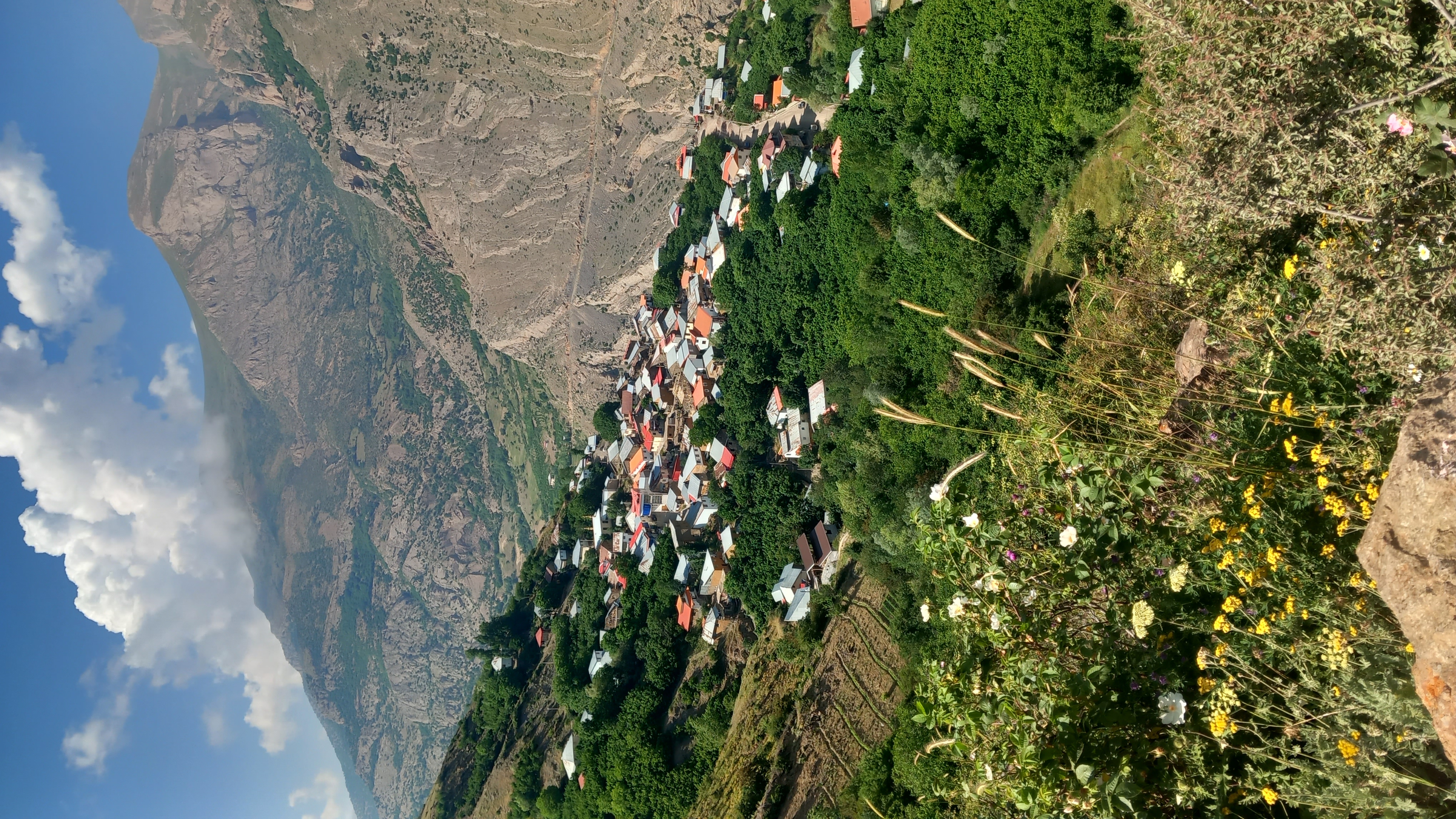 تصویر روستا